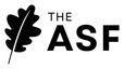 Apache Software Foundation